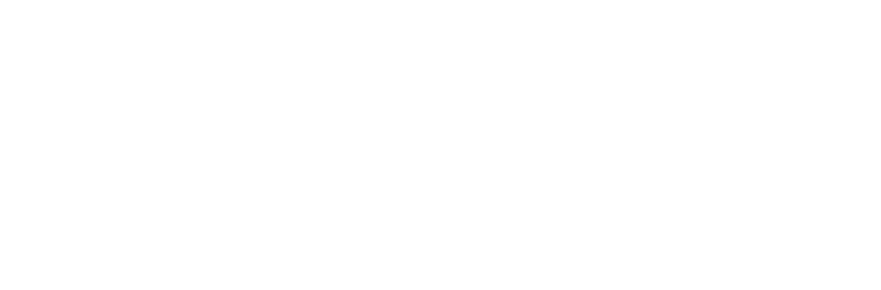 Logo-IAOA